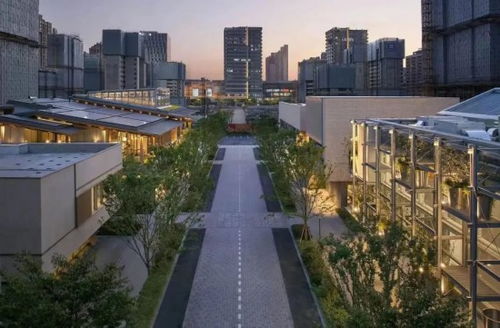 探索安阳市人民政府，城市治理与服务的桥梁