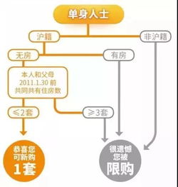 上海限购政策，深入解析与应对策略