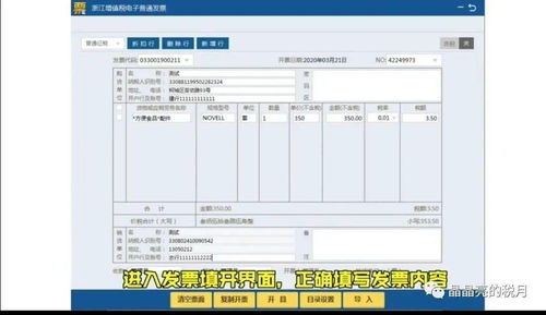 河南国税发票真伪查询，保护您的财务安全