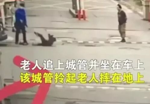 理解暴力与和平，从任桥梁胳膊被砍图片事件谈起