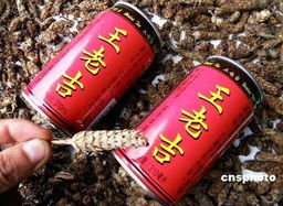 凉茶之争，王老吉与加多宝的传奇故事
