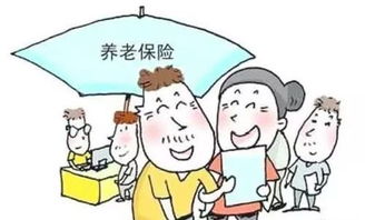 个人补缴养老保险，保障未来生活的明智选择