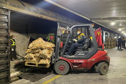 密云抗疫前线，最新动态与生活指南