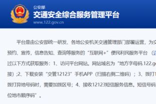 深入了解交管局违章查询，如何查询、处理违章以及预防措施