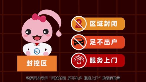 广东疫情速报，8日动态一览，生活与防控同行