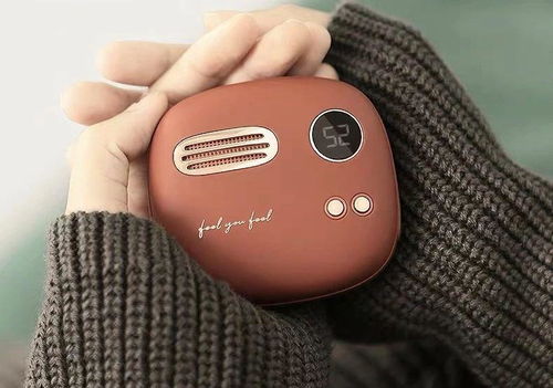 温暖冬季，深入了解电极式暖手宝的奥秘