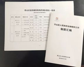 南京公证处，法律的守护者，公正的见证者