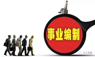事业单位绩效工资考核办法，激励与公平的桥梁