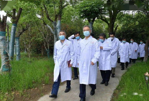 安徽疫情新动态，本土病例增加，防控措施加强