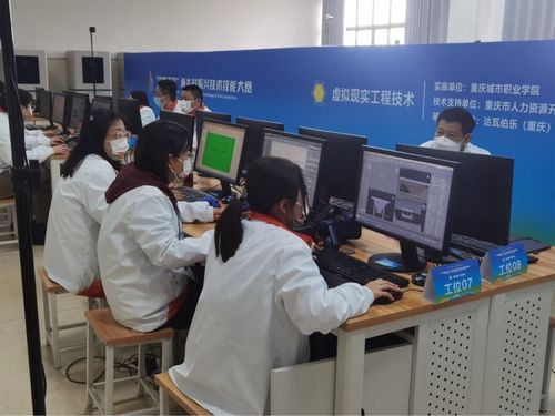 深圳社会保险局，保障市民福祉，构建和谐社会