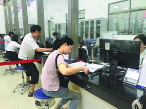 深圳社会保险局，保障市民福祉，构建和谐社会