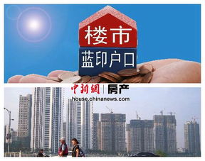 上海蓝印户口，开启城市梦想的金钥匙