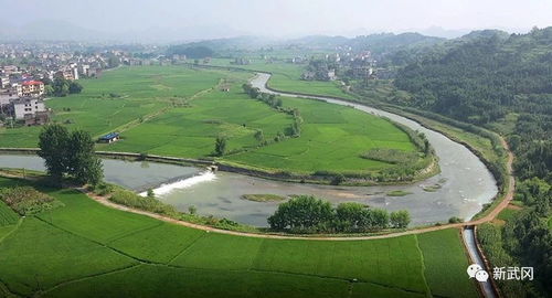 大连市河道费，守护碧水蓝天的绿色税
