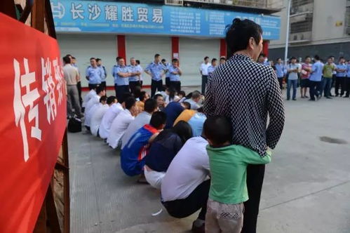揭秘广西玉林传销，一场危险的金钱游戏