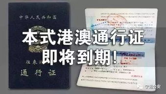 非深户轻松行，港澳通行证办理全攻略