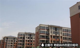 青岛保障房网，您的住房安全网