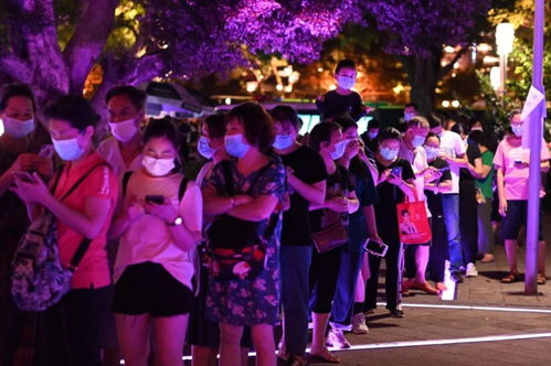 广东疫情新动态，新增本土确诊20例的应对与启示