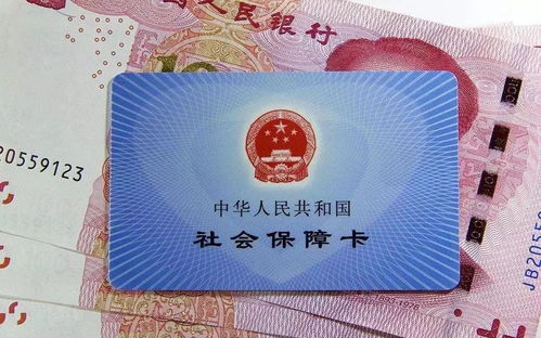 重庆社会保障卡查询，一站式指南