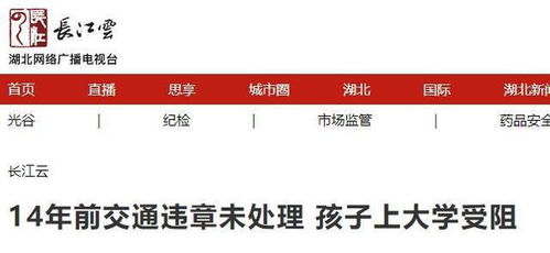 重庆交通违章，规则、影响及预防策略