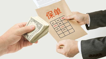 保护您的未来，第三者责任保险的全方位指南