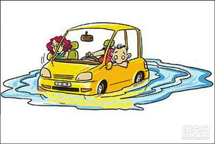 车辆损失险，保护你的爱车免受意外之苦