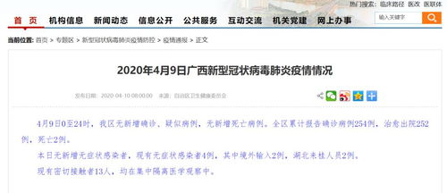 疫情动态，31省区市新增28例病例的深度解析