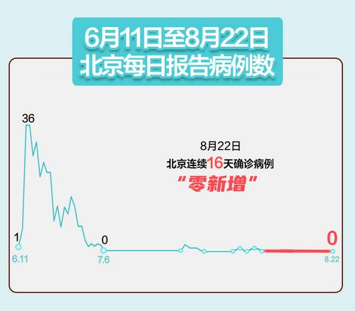 疫情动态，31省区市新增28例病例的深度解析