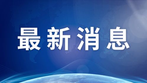 上海浦东小区中风险调整，疫情响应与社区管理的新挑战