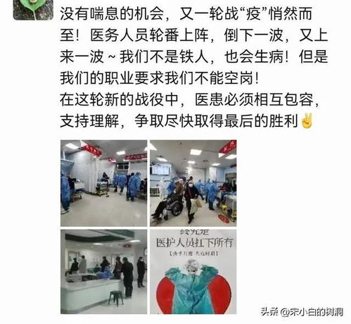 全国各城市感染高峰进度表，理解疫情动态，保护你我健康