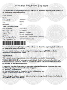 探索新加坡，签证指南与旅行启示