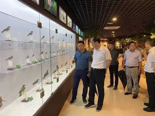 南平市公安局，守护绿水青山的忠诚卫士