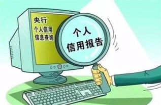 潍坊违章车辆查询，守护您的驾驶安全与信用