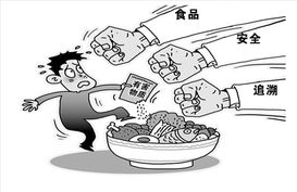 如何安全有效地查询身份证信息