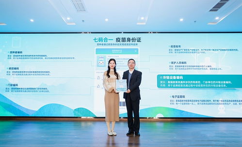 如何安全有效地查询身份证信息