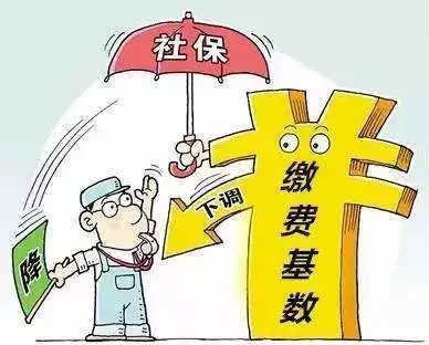 社保资金被侵吞，揭露背后的黑幕与防范之道