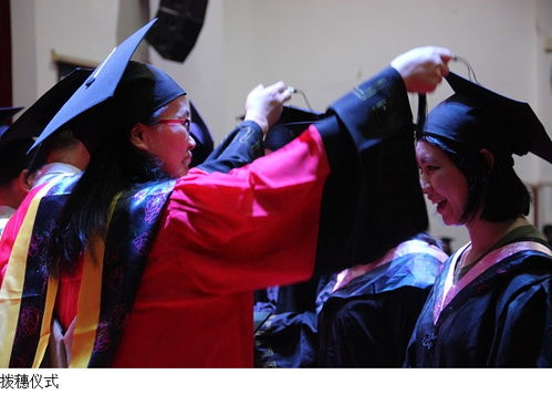 大学毕业生入伍，开启人生新篇章