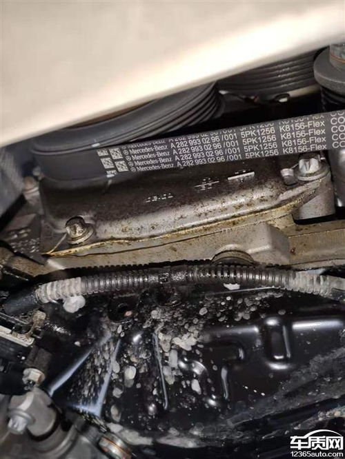 深入解析，大众发动机漏油现象及其解决方案