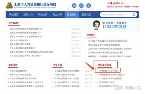 徐汇区社保中心，您的社会保障指南