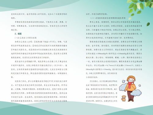 衡水市25号通告，疫情防控新措施与市民生活指南