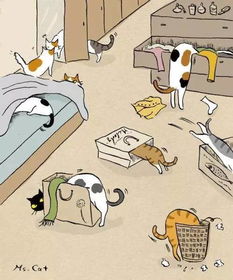 社区和谐共处，如何避免宠物引发的冲突