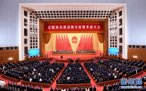 天津市卫生局，守护市民健康的坚实后盾