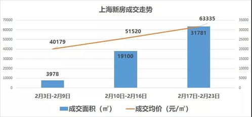 北京商住房限购政策解析，影响、原因及应对策略