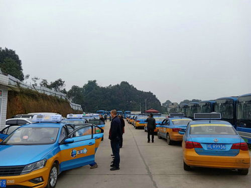 台州交警违章查询，便捷服务与安全驾驶的双重保障