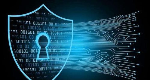 警惕网络安全威胁，深入探讨Webshell的非法交易与防范策略