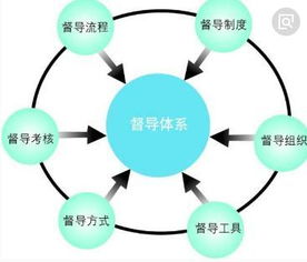 构建有效的监督检查制度，维护组织效能与合规性的关键