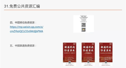 向境外汇款，全面指南与实用技巧