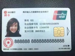 成都市社保卡查询余额，轻松掌握您的社会保障金