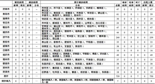 上海新增1例确诊病例，疫情应对与个人防护指南