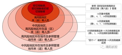 东莞疫情升级，中风险地区的应对策略与居民生活指南