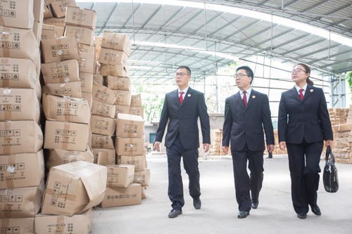 滑县杀人案，深入了解案件背后的原因与社会影响